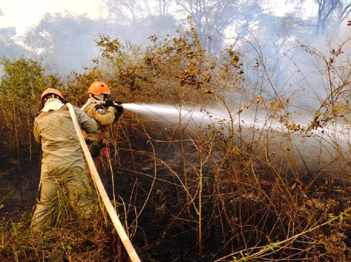 Governo de Mato Grosso decreta calamidade pública nesta segunda, 14, para combater incêndios florestais