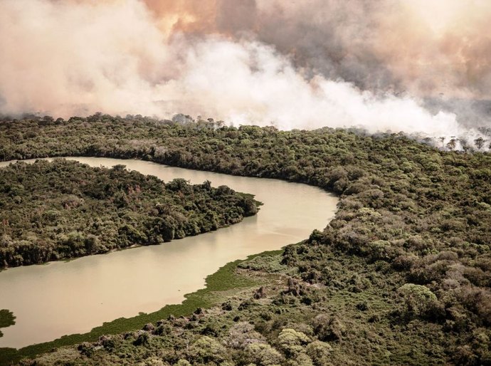 O Pantanal de MT queima e aumenta a pressão sobre a gestão ambiental no Brasil