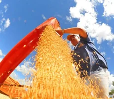 Produção de grãos pode chegar a 353,4 milhões de toneladas