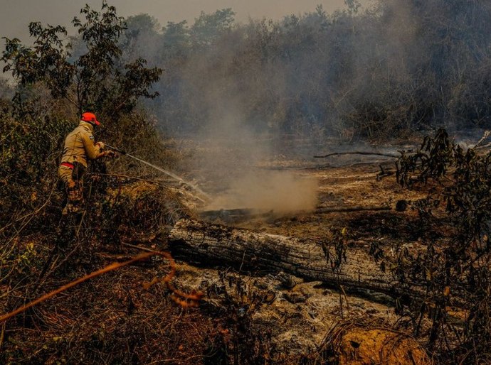 Proprietários terão que preservar área atingida por queimada por 15 anos