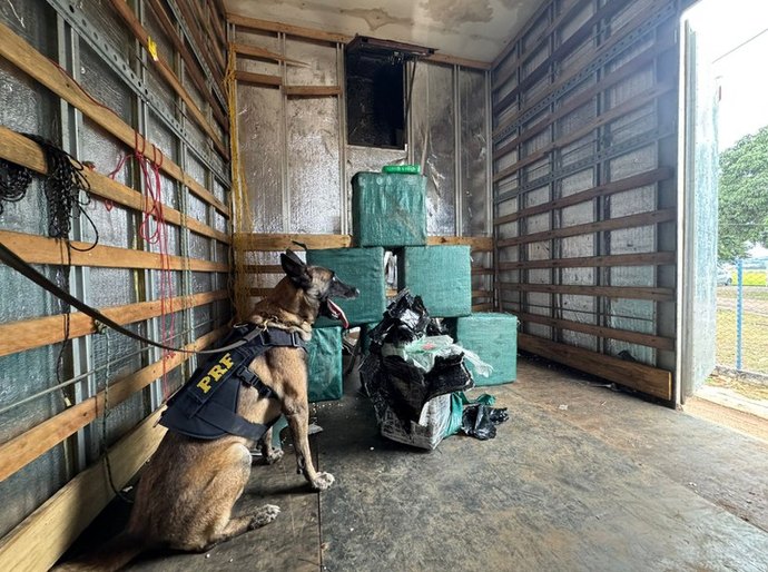 PRF apreende caminhão com fundo falso e carga quase 270 kg de droga na BR-364 em MT