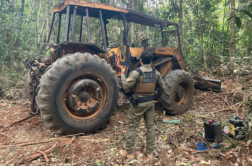 Operação Escudo Verde combate extração ilegal de madeira no norte de Mato Grosso