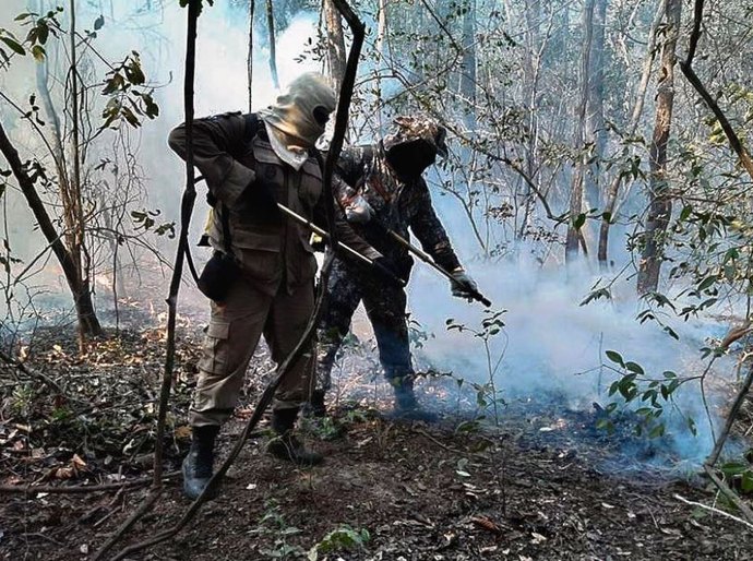 Força Nacional vai reforçar combate aos incêndios no Pantanal