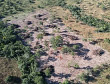 Batalhão Ambiental da PM embarga área após denúncia de desmatamento irregular