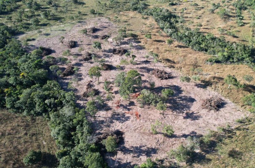 Batalhão Ambiental da PM embarga área após denúncia de desmatamento irregular