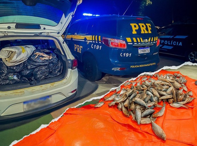 PRF apreende carga irregular de pescado e cumpre mandado de prisão em Várzea Grande