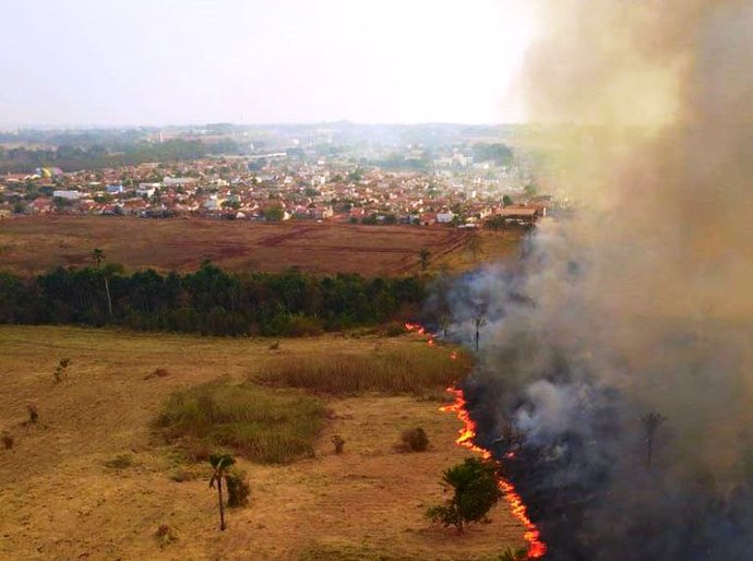 Parlamentares visitam áreas queimadas no Pantanal