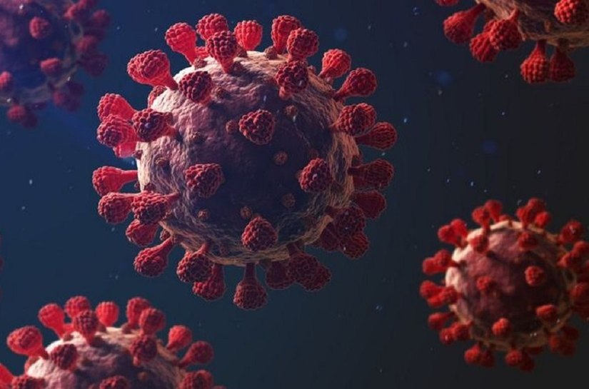 Brasil registra 1.295 mortes por Covid em 24 horas, pior marca desde julho