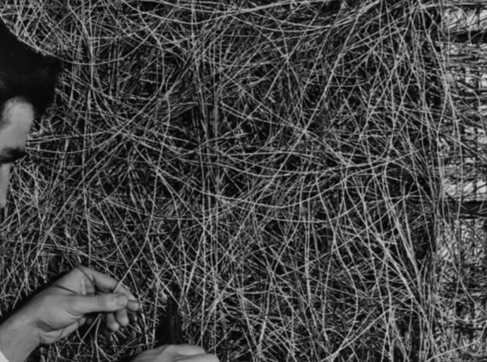 Máquinas podem pensar? Os 70 anos de história que levaram à inteligência artificial dos dias atuais