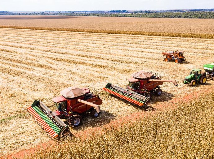 Mato Grosso inicia colheita de milho com produção estimada em 50,3 milhões de toneladas