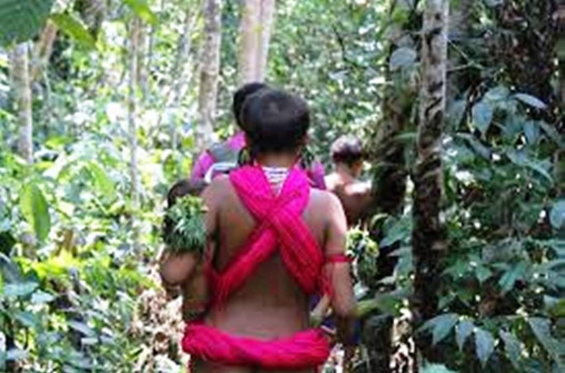 Garimpeiros exigem sexo com meninas e mulheres Yanomami em troca de comida, aponta relatório