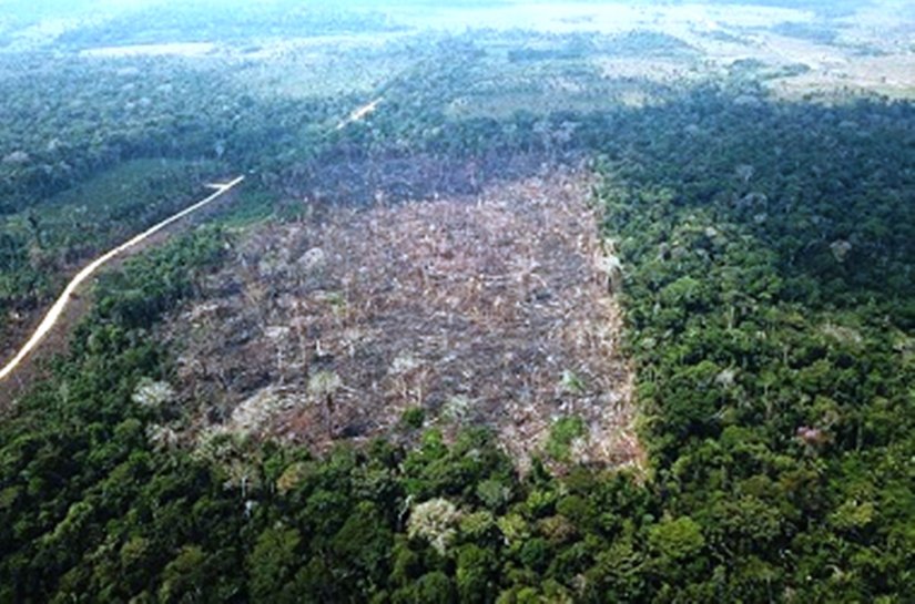 Herdeiros de fazenda em MT são condenado a pagarem 58, 5 milhões por degradação ambiental