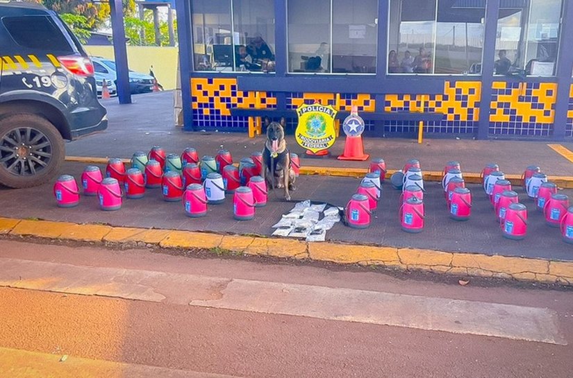 PRF apreende drogas e medicamentos em compartimento de carga na BR-163, em Rondonópolis (MT)