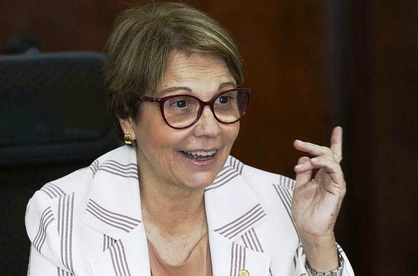 'Com mais gado no Pantanal, desastre seria menor', diz ministra da Agricultura