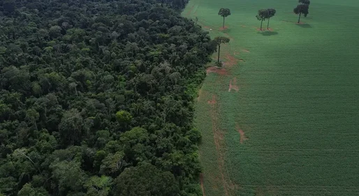 Caravana social vai à COP30 denunciar megaprojetos do agronegócio