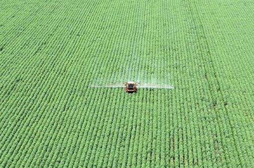 Agronegócio bate recorde de exportações em 2021 e movimenta mais de US$ 102 bilhões