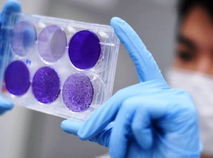 MT registra 14.654 casos e 556 mortes pela Covid-19; Só há 14 UTIs disponivéis