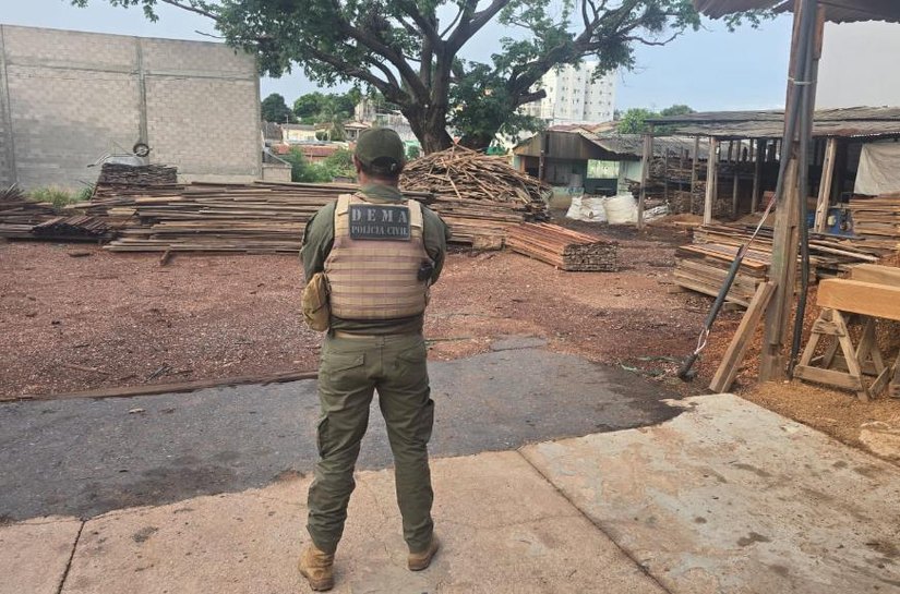 Polícia Civil cumpre mandados e desarticula grupo envolvido em crime ambiental e lavagem de dinheiro