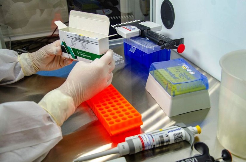 Brasil acumula 4,55 milhões de casos e 137,2 mil mortes por covid-19