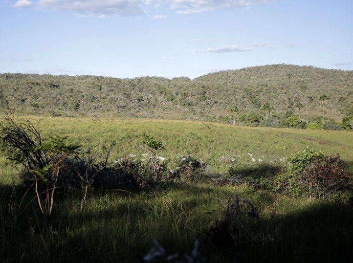 Campeãs em desmatamento, terras privadas têm 62% do Cerrado nativo