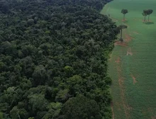 Caravana social vai à COP30 denunciar megaprojetos do agronegócio