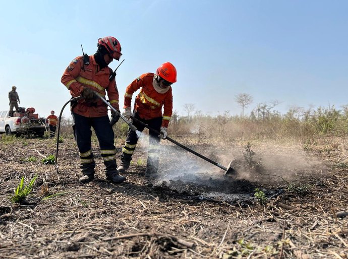 Corpo de Bombeiros extingue dois incêndios florestais e combate 24 nesta segunda-feira,25