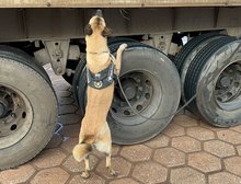 PF desarticula grupo que operava no tráfico interestadual de drogas