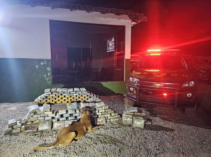 Gefron apreende 153 kg de drogas e gera prejuízo de R$ 1,6 milhão ao crime organizado