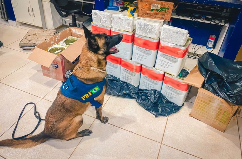 PRF localiza 59 kg de skunk em ônibus em ação integrada com a Polícia Civil que resulta em prisões em Rondonópolis,MT