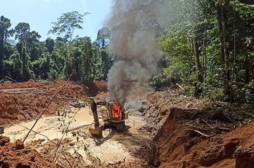 MPF denuncia cinco pessoas por garimpo ilegal e extração de madeira na Terra Indígena Sete de Setembro,MT