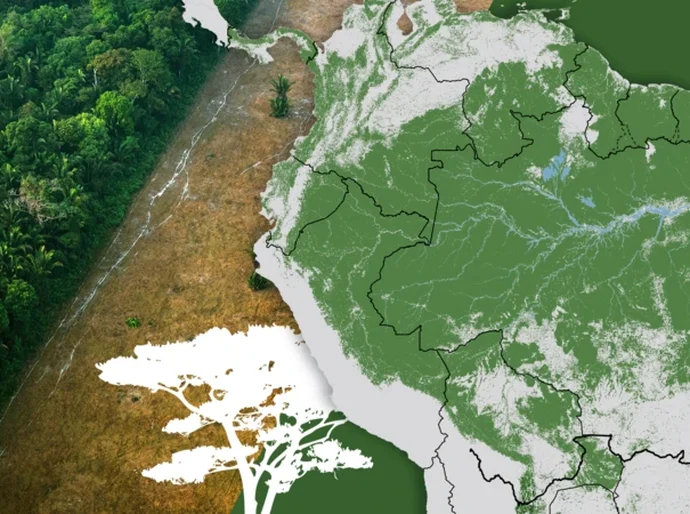 A destruição da Amazônia continua: ainda há tempo para salvá-la?