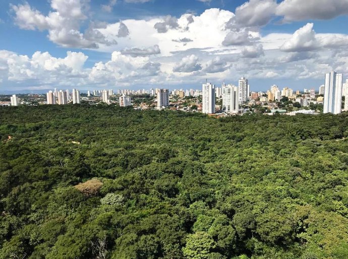 Mãe Bonifácia, Massairo Okamura e Zé Bolo Flô estão temporariamente fechados