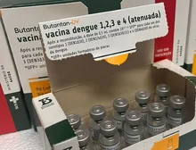 Ministério da Saúde suspende vacina contra a dengue do Butantan