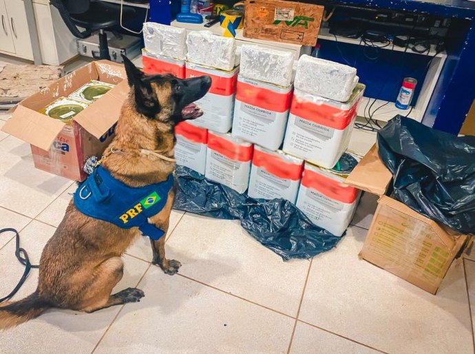 PRF localiza 59 kg de skunk em ônibus em ação integrada com a Polícia Civil que resulta em prisões em Rondonópolis,MT