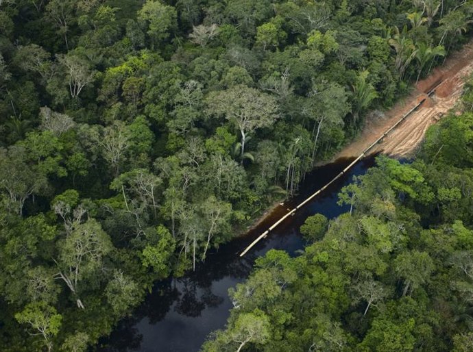 Como exploração de petróleo na Amazônia divide países às vésperas de cúpula convocada por Lula