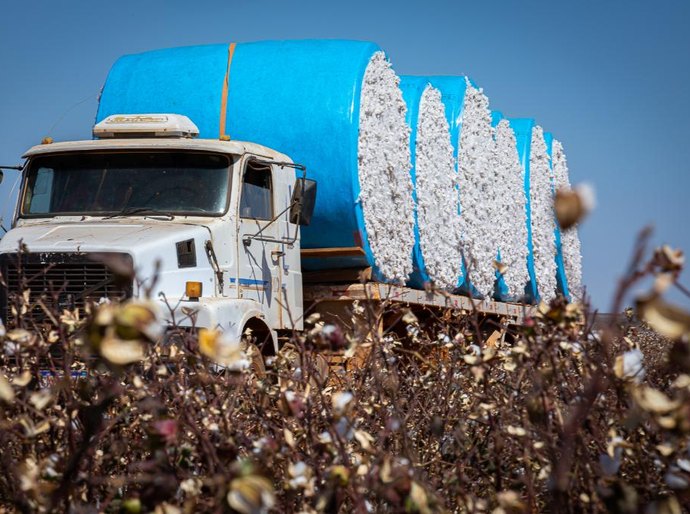 Mato Grosso lidera a balança comercial brasileira em 2025