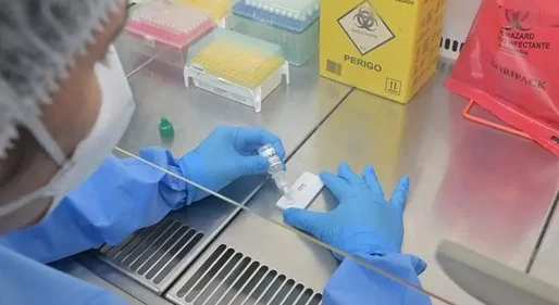 Hantavírus mata quase metade dos infectados no Brasil: onde há mais risco (e por que não tem a ver com surto em cruzeiro)