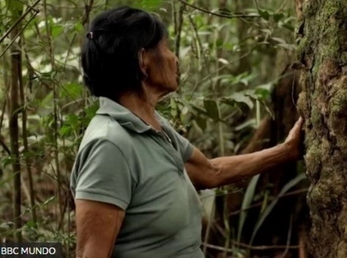 'Paraíso do Diabo': as atrocidades do 'holocausto da borracha' na Amazônia colombiana