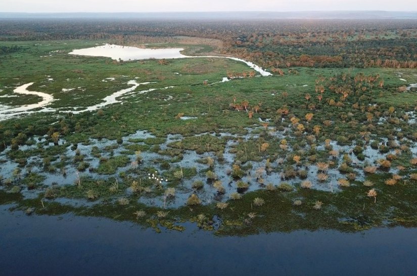 TAC prevê a criação de duas unidades de conservação no Pantanal