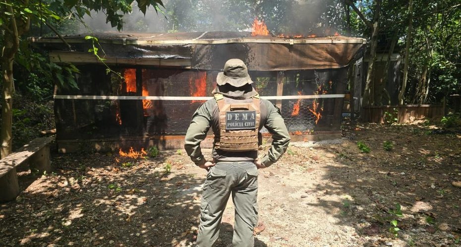 Operação resulta em prisões por crime ambiental e demolições de construções irregulares em Área de Preservação Permanente