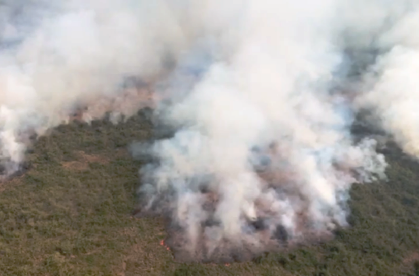 Instituições debatem causas e ações para evitar queimadas no Pantanal