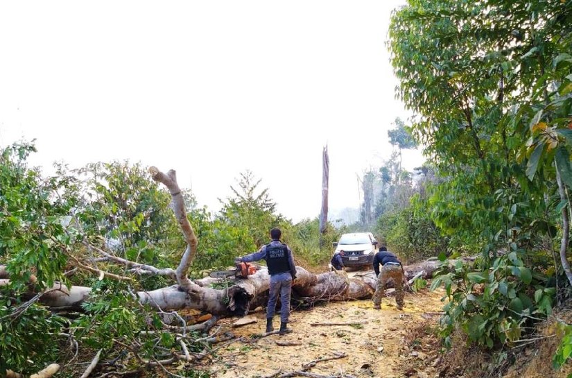 Equipes de fiscalização da Sema, Indea e PM de MT sofrem emboscadas em Colniza