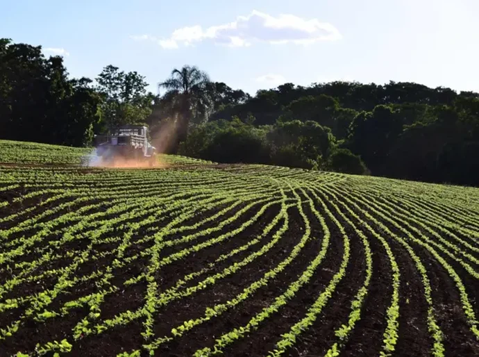 Por que a guerra do Irã ameaça o coração do agronegócio brasileiro