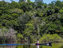 Hepatite Delta avança entre ribeirinhos no Amazonas