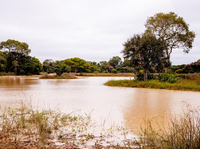 Período de defeso da Piracema será entre 1º de outubro de 2026 e 31 de janeiro de 2027 em MT