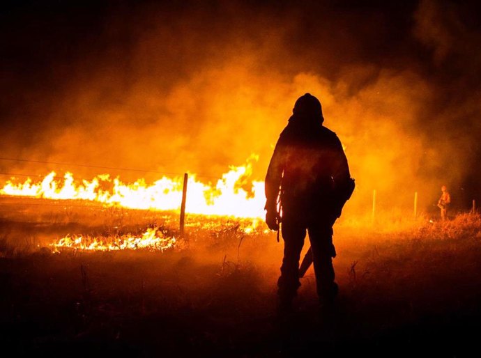 Relatório aponta que quase 60% dos focos de incêndios no Pantanal em 2020 têm probabilidade de ligação com atividades agropastoris