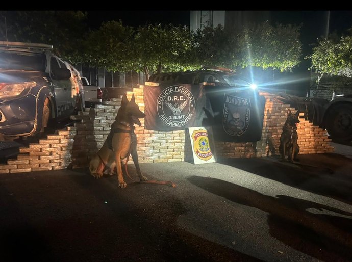 PF em ação conjunta apreende cerca de 450 kg de cocaína em Alto Garças, MT