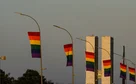 Candidaturas LGBT+ têm recorde em 2026 e se espalham por mais partidos
