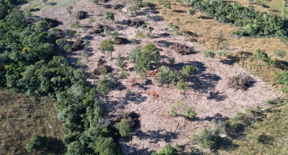Batalhão Ambiental da PM embarga área após denúncia de desmatamento irregular