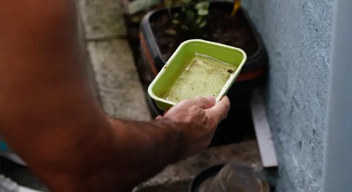 El Niño pode aumentar casos de chikungunya e dengue no Brasil